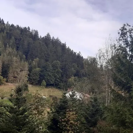 Appartement Le Montagnard *