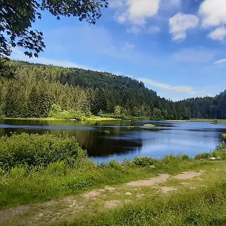 Le Montagnard * Gérardmer