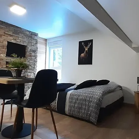 Appartement Le Montagnard *