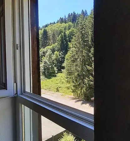 Le Montagnard * Gérardmer